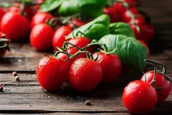 تصویر 2 از خرید و قیمت گوجه گیلاسی قرمز + فروش عمده